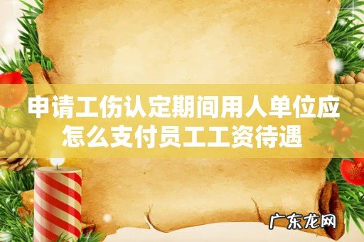 申请工伤认定期间用人单位应怎么支付员工工资待遇