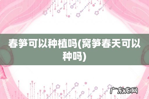 窝笋春天可以种吗 春笋可以种植吗