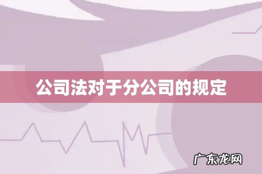 公司法对于分公司的规定