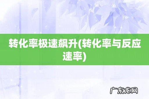 转化率与反应速率 转化率极速飙升