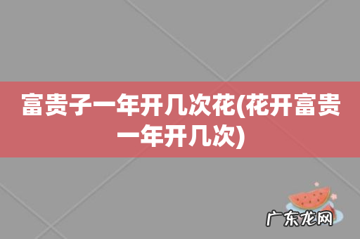 花开富贵一年开几次 富贵子一年开几次花