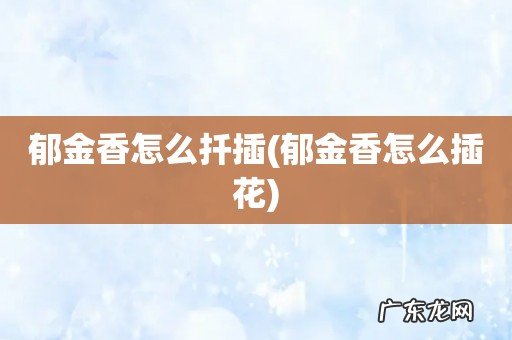 郁金香怎么插花 郁金香怎么扦插