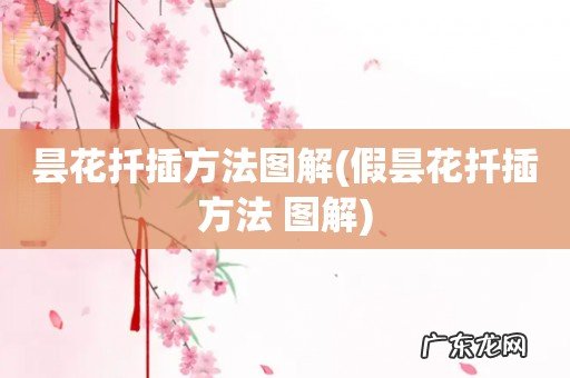 假昙花扦插方法 图解 昙花扦插方法图解