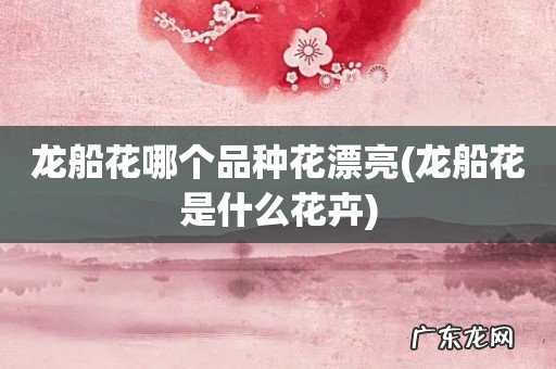 龙船花是什么花卉 龙船花哪个品种花漂亮