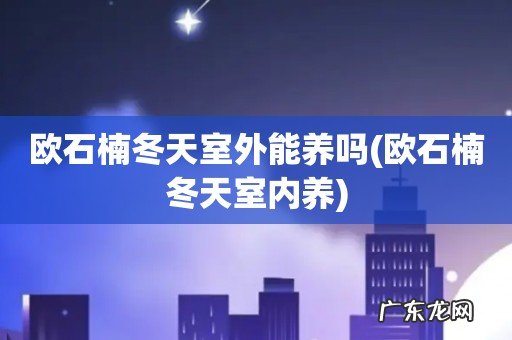 欧石楠冬天室内养 欧石楠冬天室外能养吗