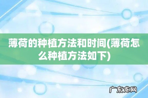 薄荷怎么种植方法如下 薄荷的种植方法和时间