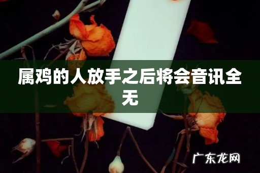 属鸡的人放手之后将会音讯全无