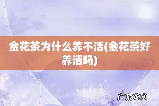 金花茶好养活吗 金花茶为什么养不活