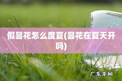 昙花在夏天开吗 假昙花怎么度夏