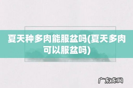 夏天多肉可以服盆吗 夏天种多肉能服盆吗