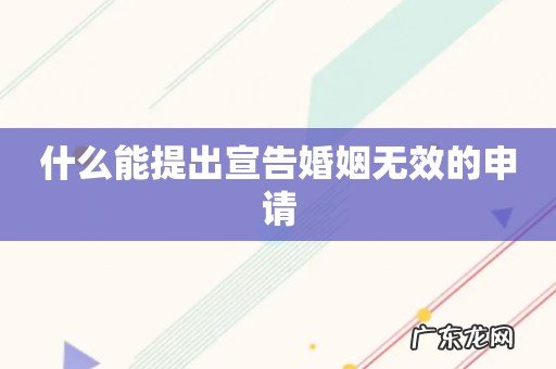 什么能提出宣告婚姻无效的申请
