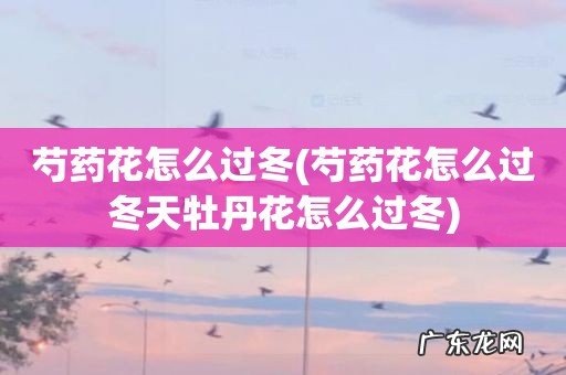 芍药花怎么过冬天牡丹花怎么过冬 芍药花怎么过冬