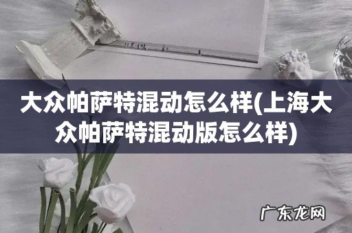 上海大众帕萨特混动版怎么样 大众帕萨特混动怎么样
