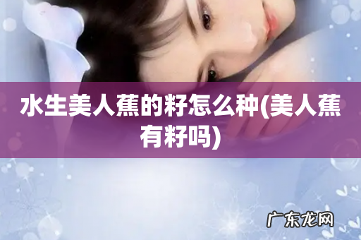 美人蕉有籽吗 水生美人蕉的籽怎么种