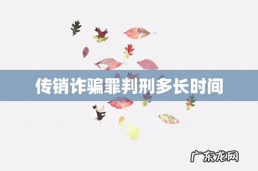 传销诈骗罪判刑多长时间