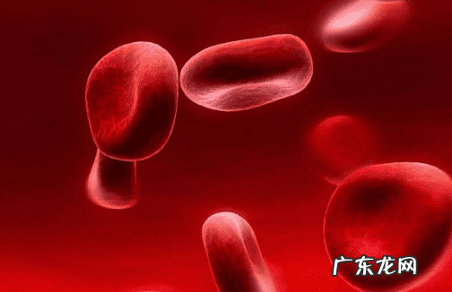 红细胞压积意义 红细胞压积什么意思