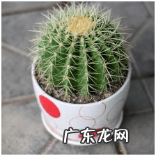 有趣的生活小常识 生活常识是什么意思?