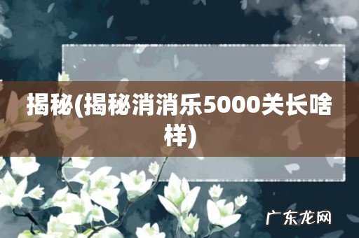 揭秘消消乐5000关长啥样 揭秘