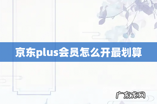 京东plus会员怎么开最划算