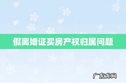 假离婚证买房产权归属问题