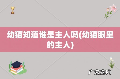 幼猫眼里的主人 幼猫知道谁是主人吗