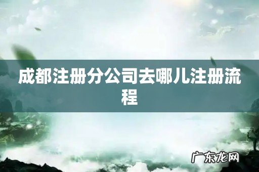 成都注册分公司去哪儿注册流程