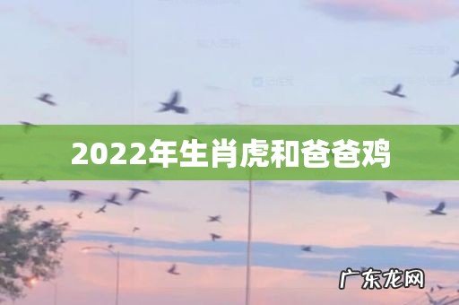 2022年生肖虎和爸爸鸡