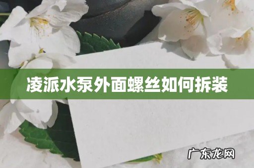 凌派水泵外面螺丝如何拆装