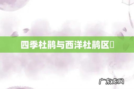 四季杜鹃与西洋杜鹃区別