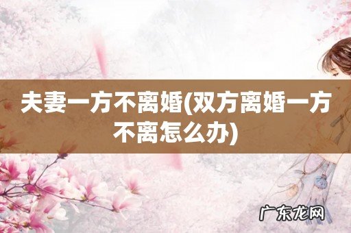 双方离婚一方不离怎么办 夫妻一方不离婚