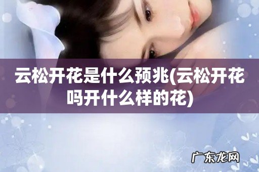 云松开花吗开什么样的花 云松开花是什么预兆