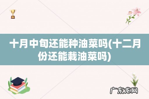 十二月份还能栽油菜吗 十月中旬还能种油菜吗