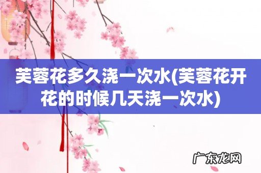 芙蓉花开花的时候几天浇一次水 芙蓉花多久浇一次水