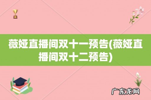 薇娅直播间双十二预告 薇娅直播间双十一预告
