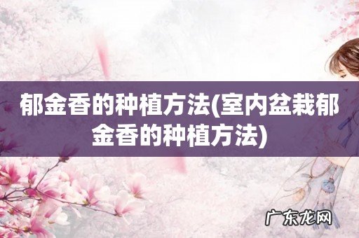 室内盆栽郁金香的种植方法 郁金香的种植方法