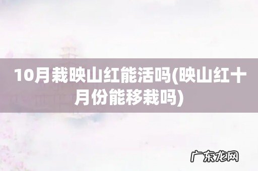 映山红十月份能移栽吗 10月栽映山红能活吗