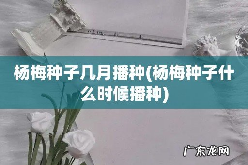 杨梅种子什么时候播种 杨梅种子几月播种