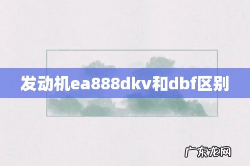 发动机ea888dkv和dbf区别