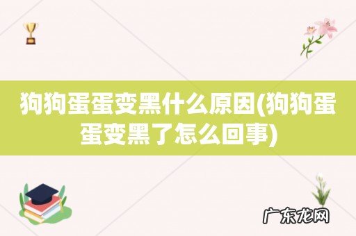 狗狗蛋蛋变黑了怎么回事 狗狗蛋蛋变黑什么原因