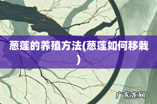 葱莲如何移栽 葱莲的养殖方法