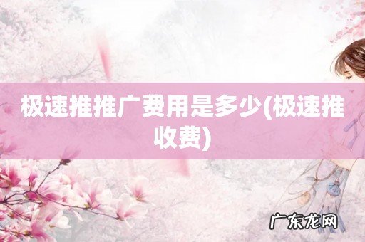 极速推收费 极速推推广费用是多少