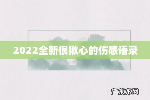2022全新很揪心的伤感语录
