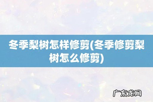 冬季修剪梨树怎么修剪 冬季梨树怎样修剪