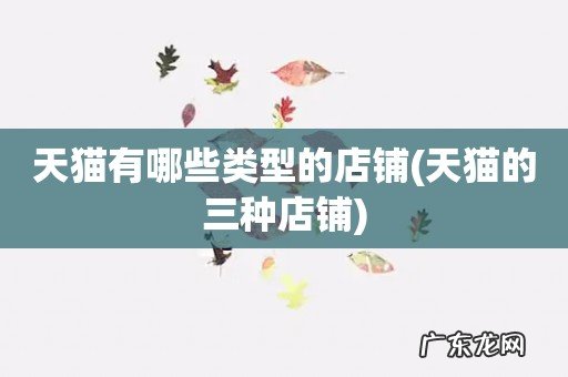 天猫的三种店铺 天猫有哪些类型的店铺