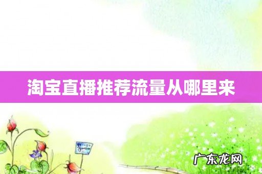 淘宝直播推荐流量从哪里来