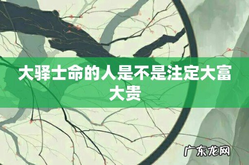 大驿士命的人是不是注定大富大贵