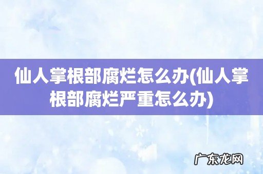 仙人掌根部腐烂严重怎么办 仙人掌根部腐烂怎么办
