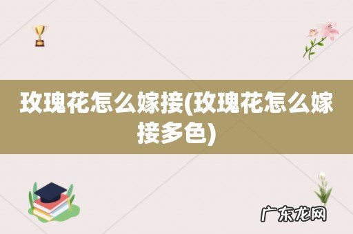 玫瑰花怎么嫁接多色 玫瑰花怎么嫁接