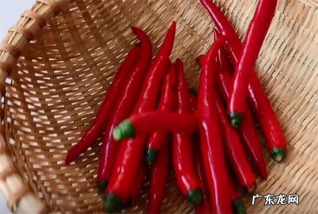 蒜苔如何腌制 腌制蒜苔的制作方法