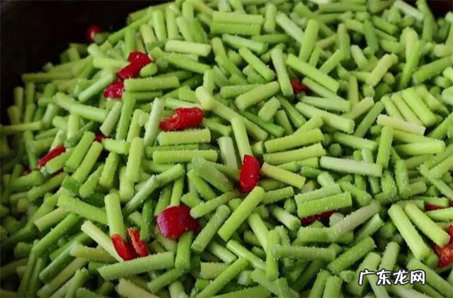 蒜苔如何腌制 腌制蒜苔的制作方法